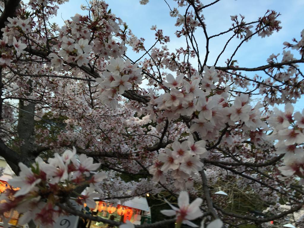 Ryokan Uemura Kyoto Ngoại thất bức ảnh