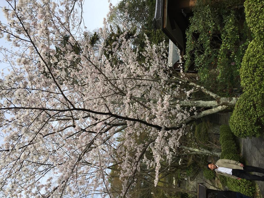Ryokan Uemura Kyoto Ngoại thất bức ảnh
