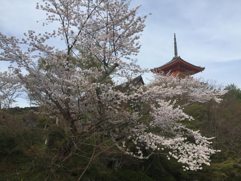Ryokan Uemura Kyoto Ngoại thất bức ảnh